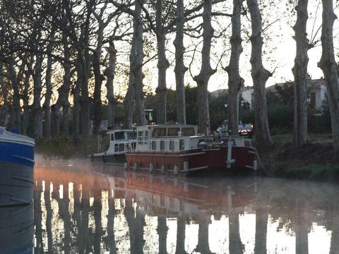Camping Les Berges du Canal - Camping Hérault - Image N°74
