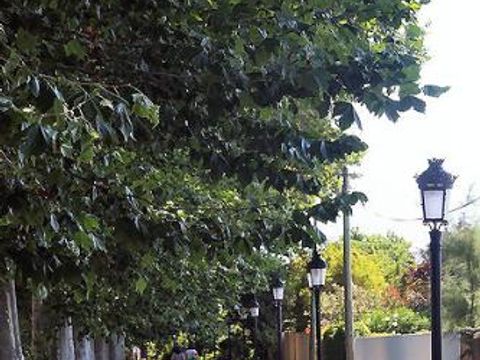 Camping Les Berges du Canal - Camping Hérault - Image N°68