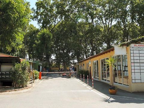 Camping Les Berges du Canal - Camping Hérault - Image N°43