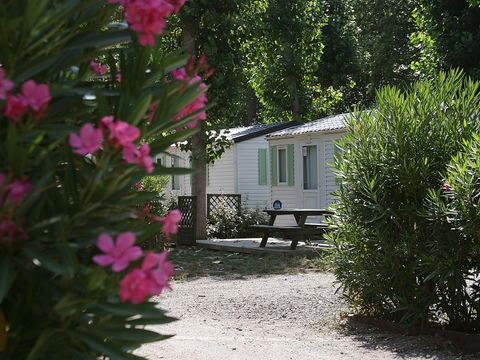 Camping Les Berges du Canal - Camping Hérault - Image N°39