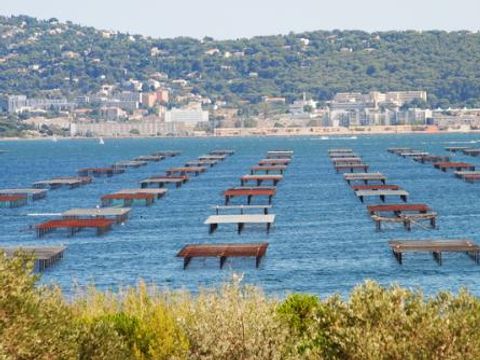 Camping Les Berges du Canal - Camping Hérault - Image N°55