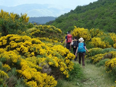 Camping Borepo - Camping Hérault - Image N°20