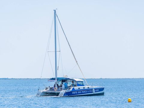 Camping Borepo - Camping Hérault - Image N°32