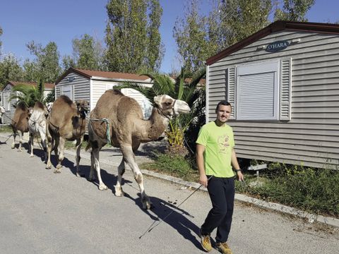 Camping Marina Plage - Camping Bouches-du-Rhône - Image N°11