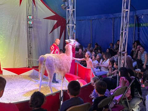 Camping Marina Plage - Camping Bouches-du-Rhône - Image N°32