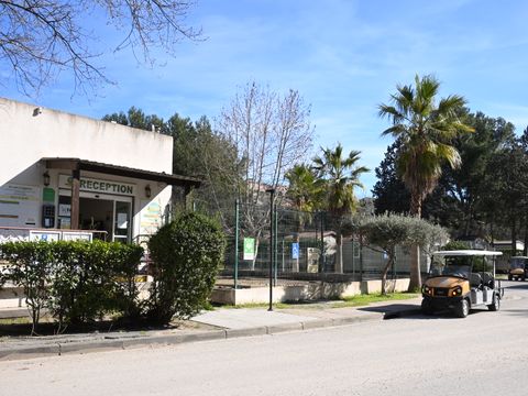 Camping Marina Plage - Camping Bouches-du-Rhône - Image N°3