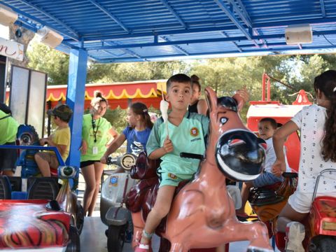 Camping Marina Plage - Camping Bouches-du-Rhône - Image N°16