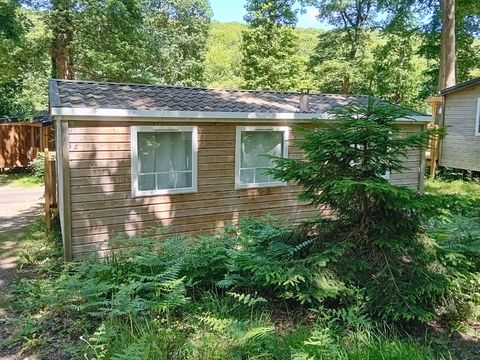 MOBILHOME 4 personnes - Standard Bois 31m² 3 chambres + terrasse semi-couverte 18m² + TV