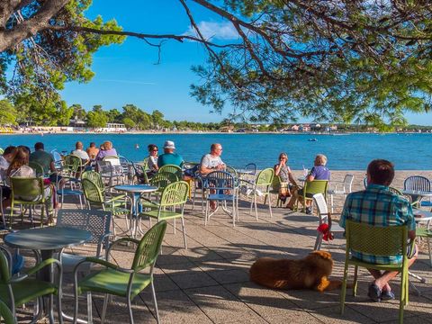 Camping Zaton - Camping Zadar - Image N°9