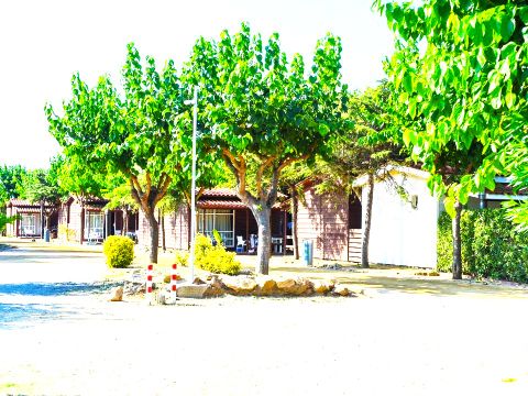 BUNGALOW 5 personnes - Comfort
