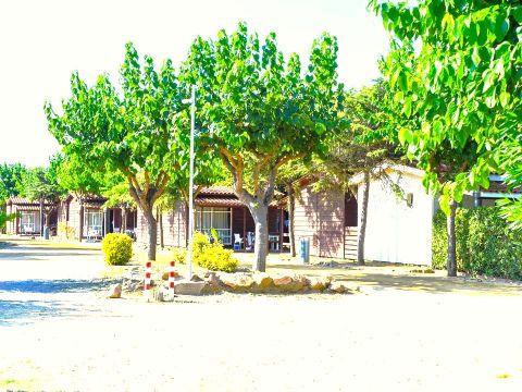 BUNGALOW 5 personnes - Comfort