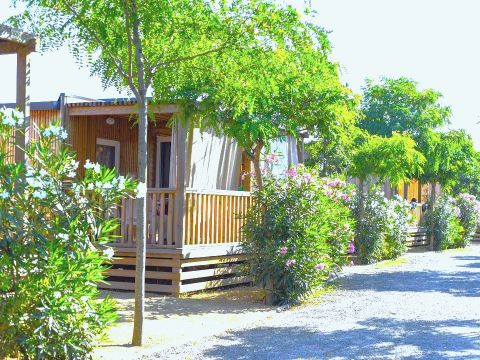 MOBILHOME 6 personnes - Plus 3 AC