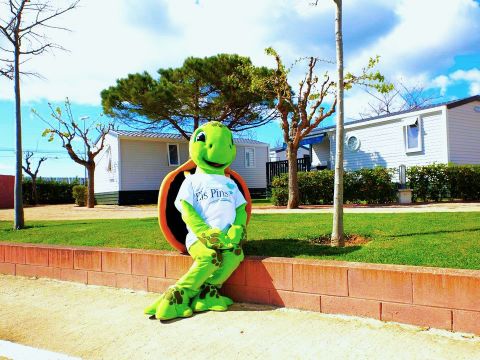 MOBILHOME 6 personnes - Prime 2