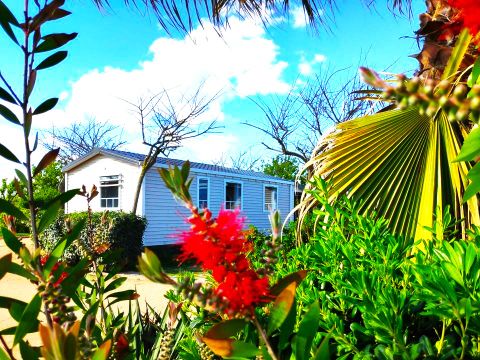 MOBILHOME 6 personnes - Premium 2 AC