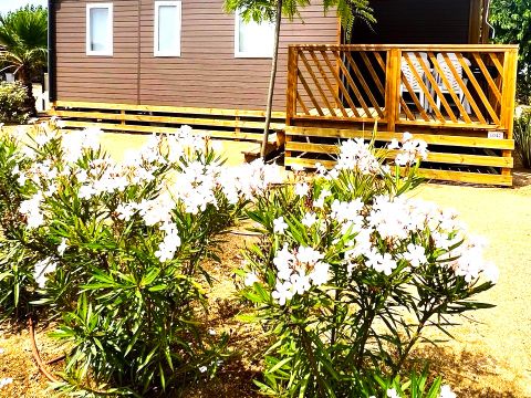 MOBILHOME 6 personnes - Premium 3 Nature
