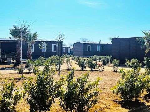 MOBILHOME 6 personnes - Premium 3 Nature