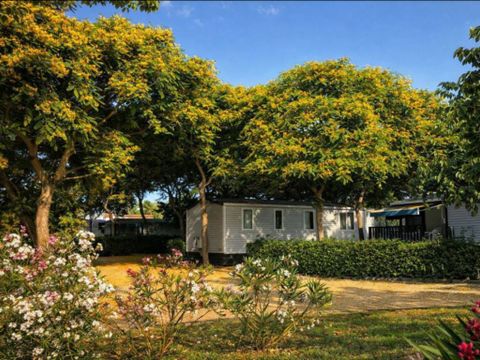 MOBILHOME 6 personnes - MH PREMIUM 2