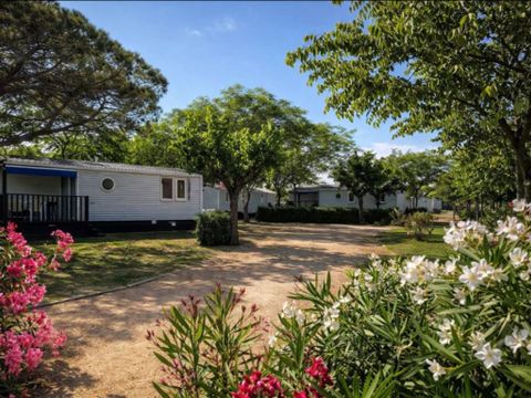 MOBILHOME 6 personnes - MH PREMIUM 2