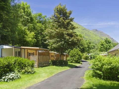  Flower Camping Pyrenees Natura - Camping Hautes-Pyrénées - Image N°33