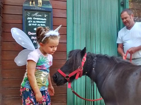 Camping Les Monts d'Albi - Camping Tarn - Image N°6