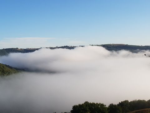 Camping Les Monts d'Albi - Camping Tarn - Image N°22