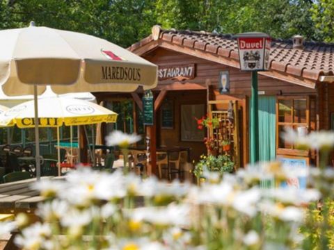Camping Les Monts d'Albi - Camping Tarn - Image N°23