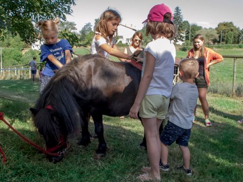 Camping Les Monts d'Albi - Camping Tarn - Image N°8