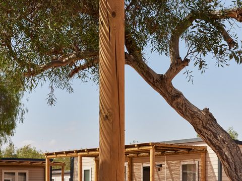 MOBILHOME 2 personnes - Agave Premium