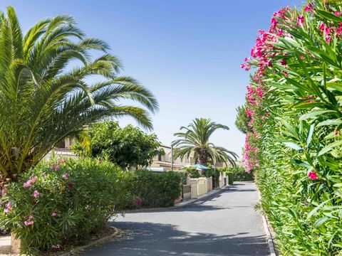 Camping Les Tamaris et Les Portes Du Soleil  - Camping Hérault - Image N°42