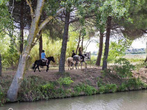 Camping Les Tamaris et Les Portes Du Soleil  - Camping Hérault - Image N°76