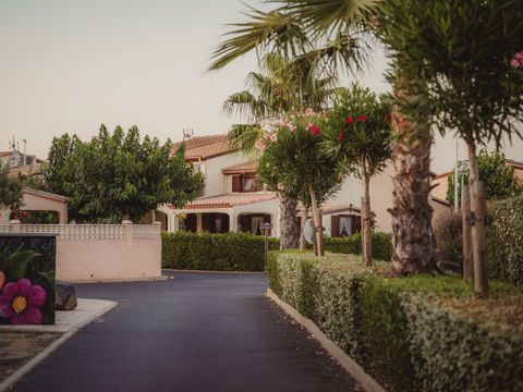 Camping Les Tamaris et Les Portes Du Soleil  - Camping Hérault - Image N°50