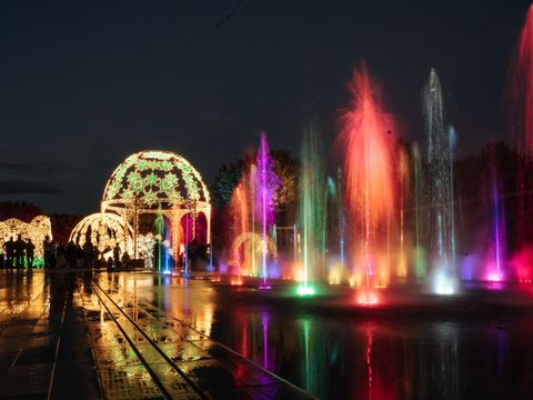 Camping Les Tamaris et Les Portes Du Soleil  - Camping Hérault - Image N°41