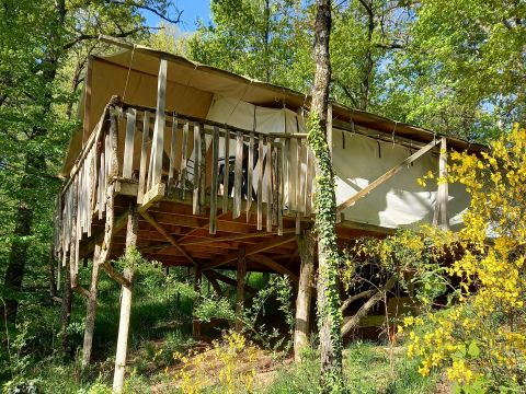 TENTE 4 personnes - Tentes forestières - Zone Forêt