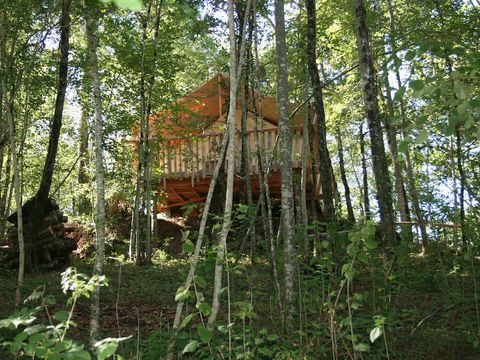 Camping Glamping Terre Rouge  - Camping Aveyron - Image N°5