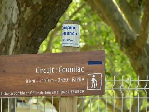 Camping La Plage de L'Orb - Camping Hérault - Image N°11