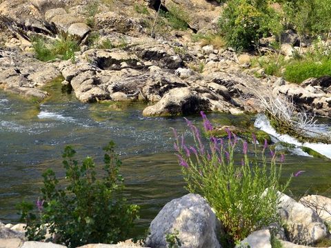 Camping La Plage de L'Orb - Camping Hérault - Image N°10
