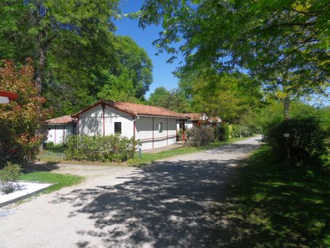 CHALET 4 personnes - PMR 17 m² CHALET 4 personnes - PMR 17 m²