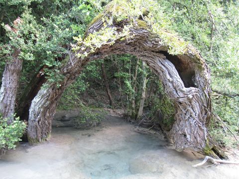 Camping Moulin d'Onclaire - Camping Ardèche - Image N°17