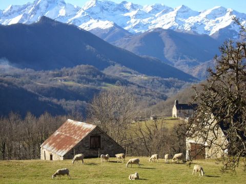 Camping Le Haut Salat - Camping Ariège - Image N°22