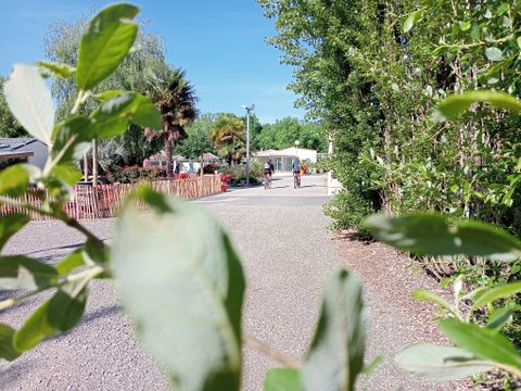 Camping Les Mancellieres - Camping Vendée - Image N°20