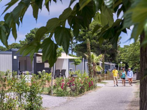 Camping Les Muriers - Camping Hérault - Image N°26