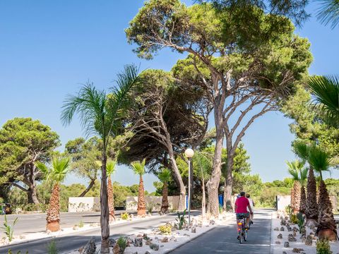 Camping Les Muriers - Camping Hérault - Image N°41