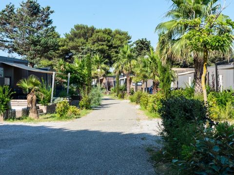 Camping Les Muriers - Camping Hérault - Image N°30