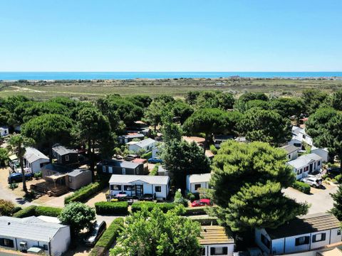 Camping Les Muriers - Camping Hérault - Image N°37