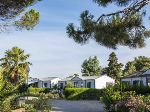 Camping Les Muriers - Camping Hérault - Image N°27