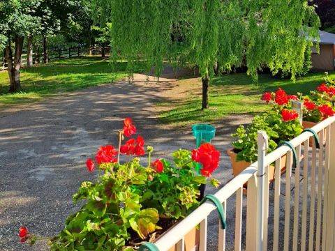 Camping Le Terrados - Camping Lozere - Image N°4