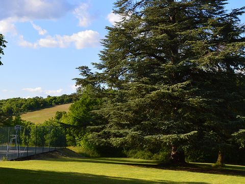 Camping Château de Lacomté - Camping Lot - Image N°36