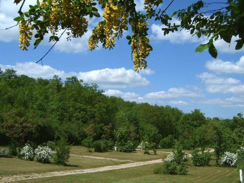 Camping Château de Lacomté - Camping Lot - Image N°42