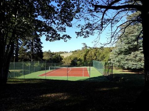 Camping Château de Lacomté - Camping Lot - Image N°8