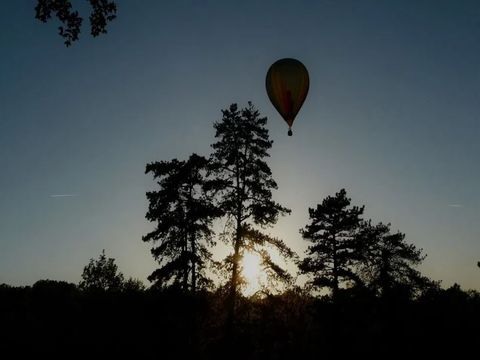 Camping Château de Lacomté - Camping Lot - Image N°33